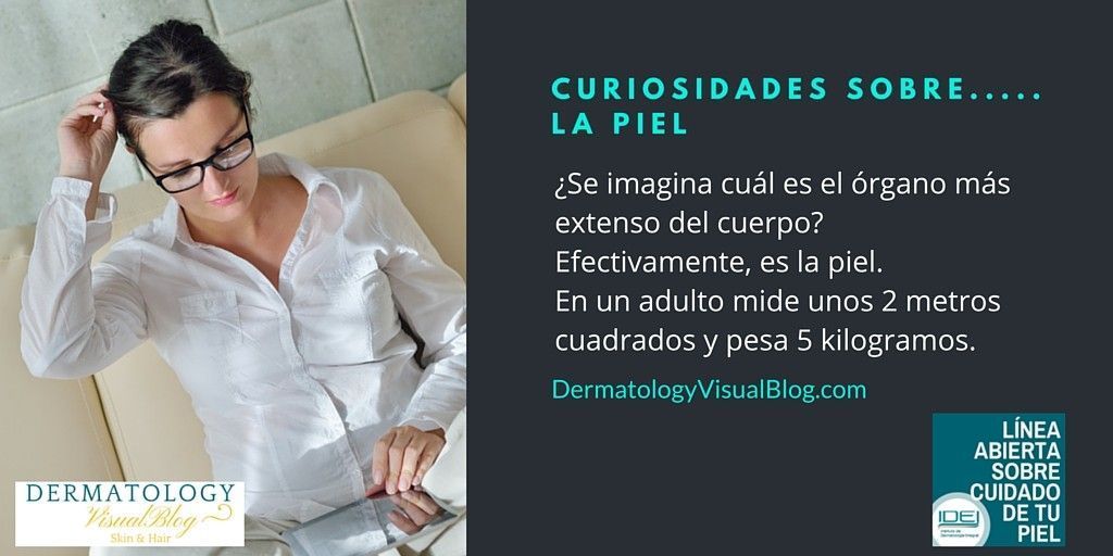 curiosidades sobre la piel-idei-facial
