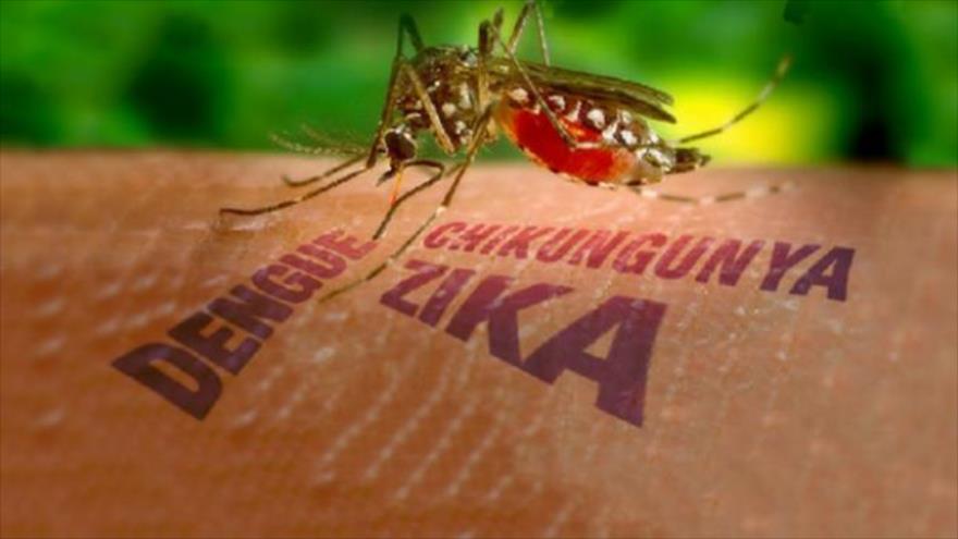 como-protegerse-del-virus-zika