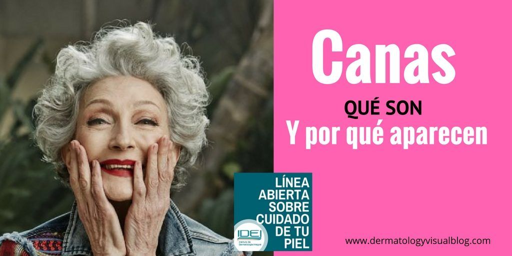 por-que-salen-las-canas-en-dermatologyvisualblog